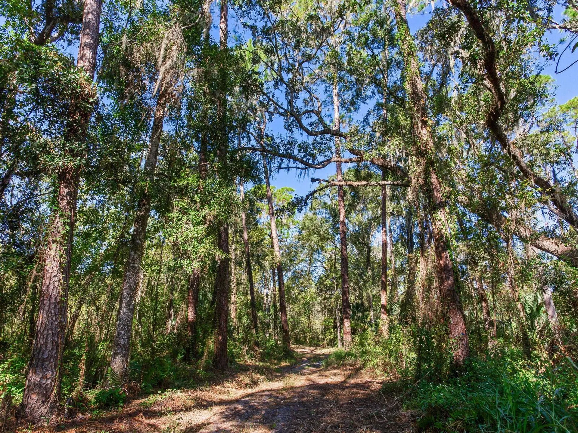 Drawdy Road Plant City FL 33567