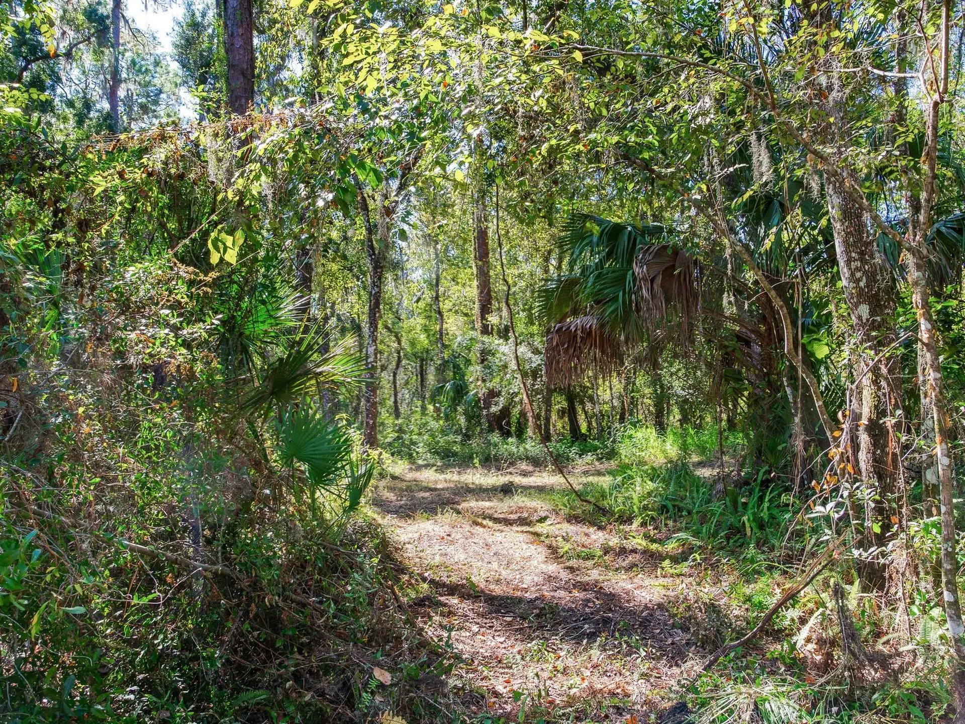 Drawdy Road Plant City FL 33567