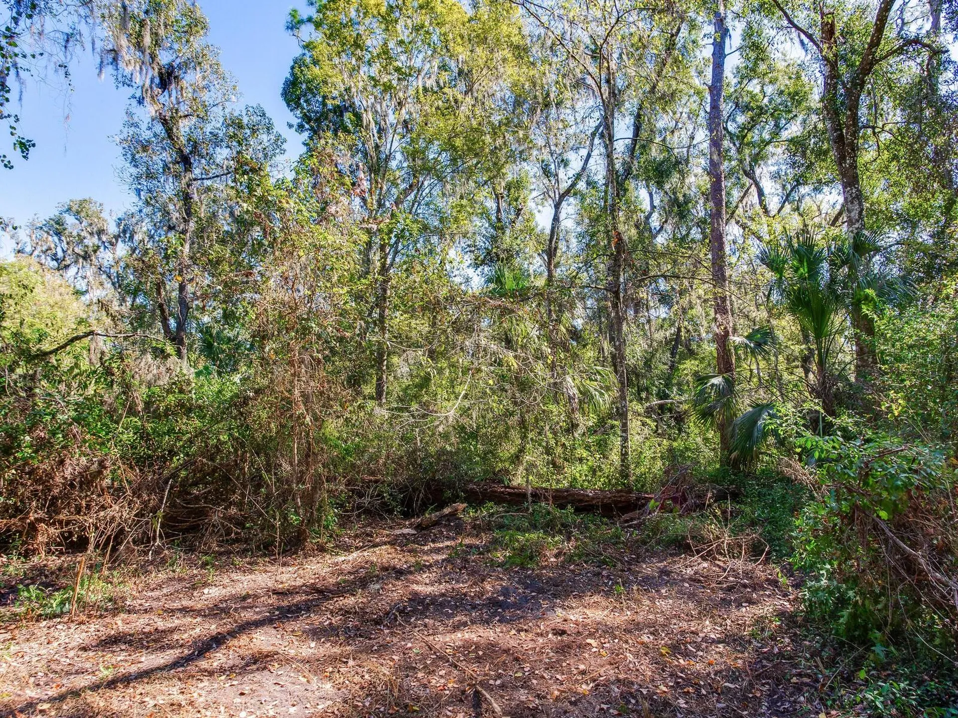 Drawdy Road Plant City FL 33567