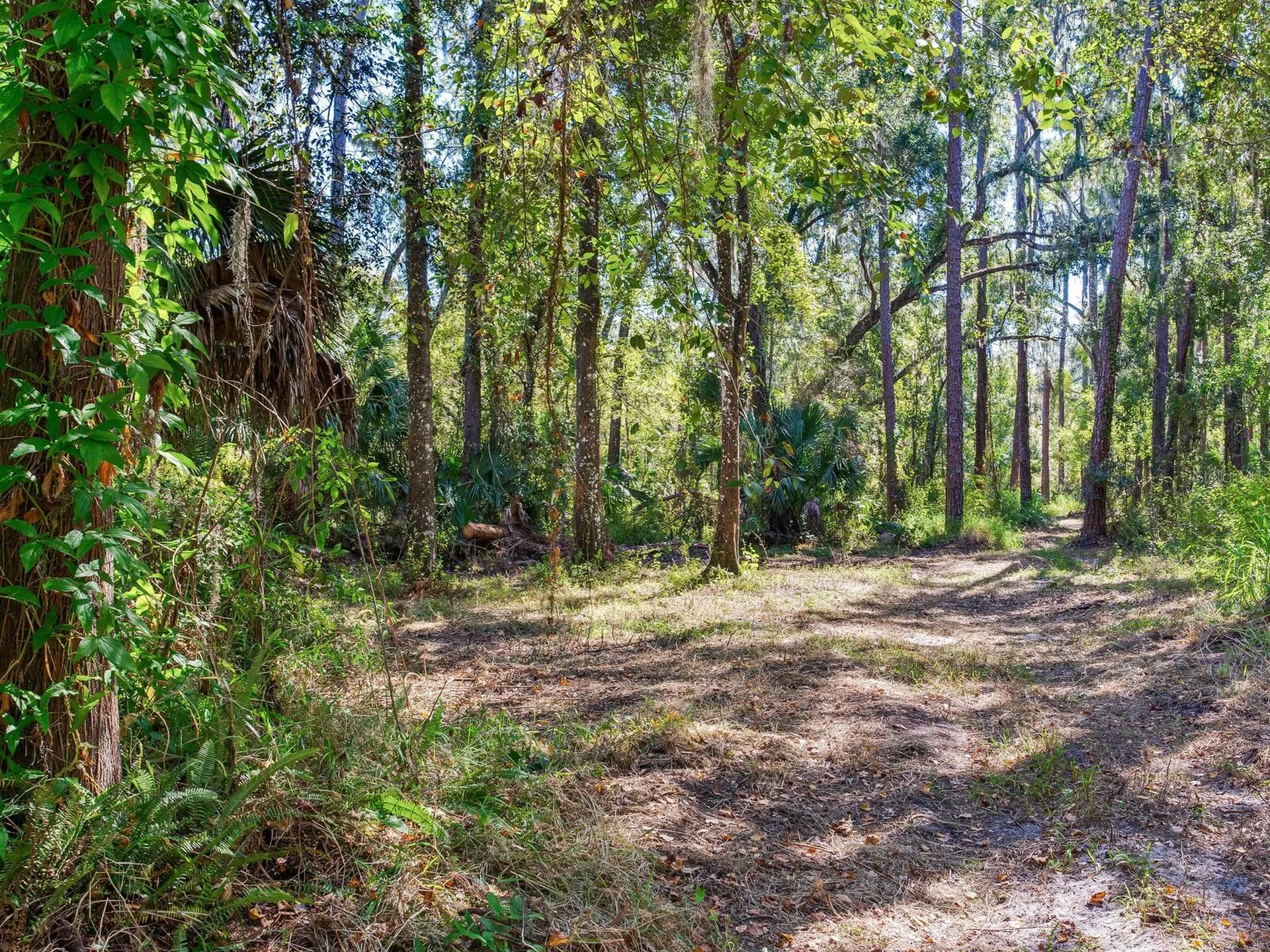 Drawdy Road Plant City FL 33567