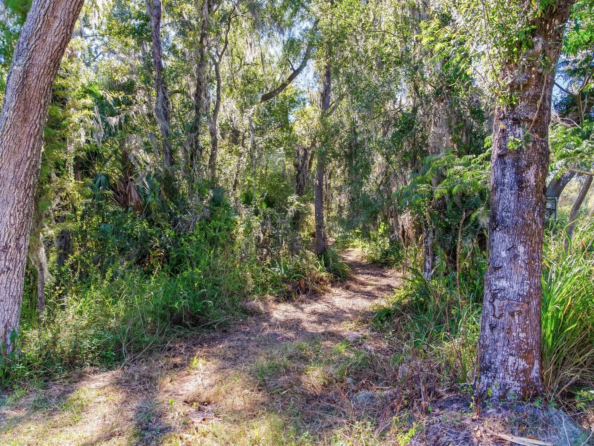 Drawdy Road Plant City FL 33567