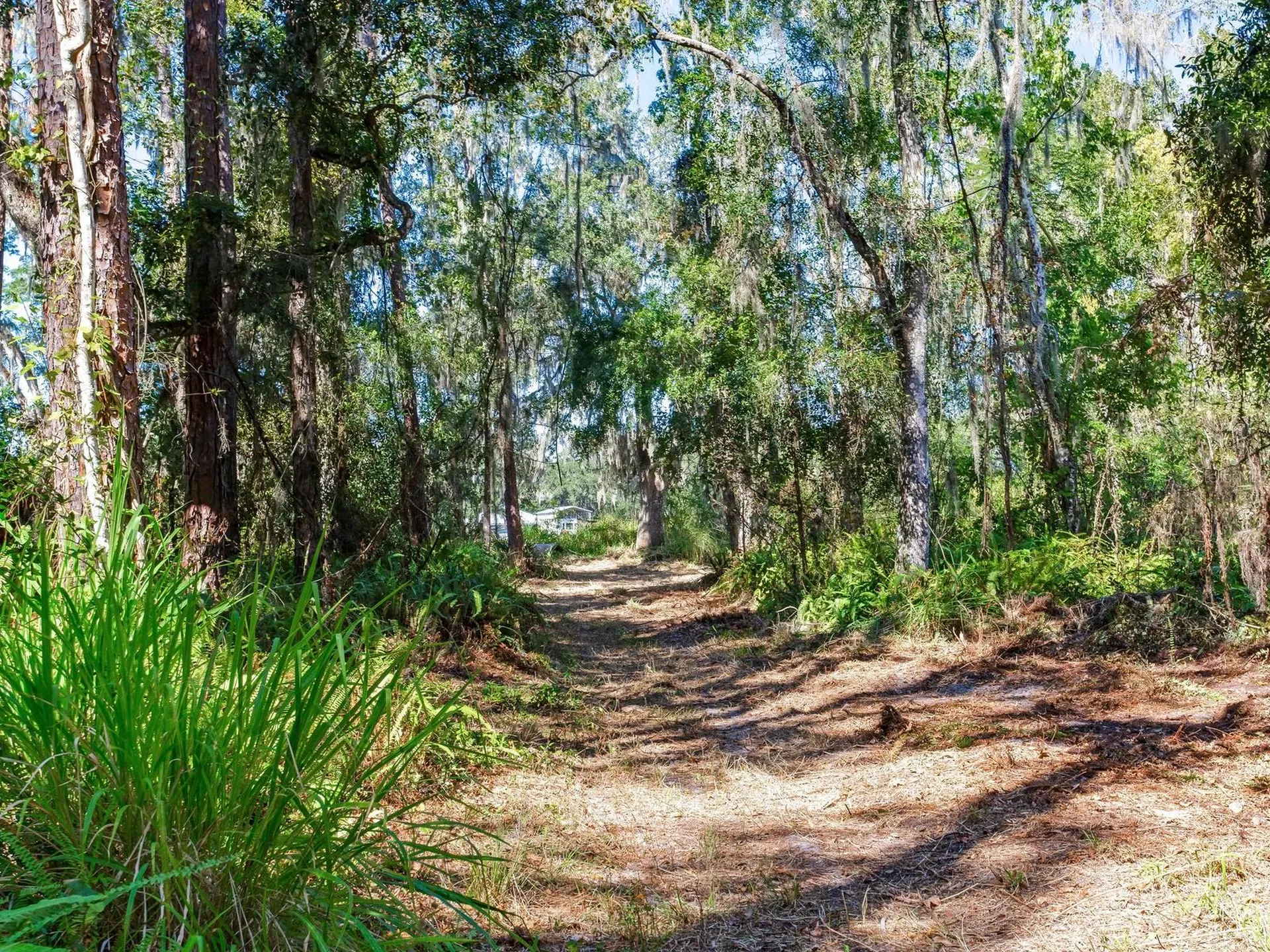 Drawdy Road Plant City FL 33567
