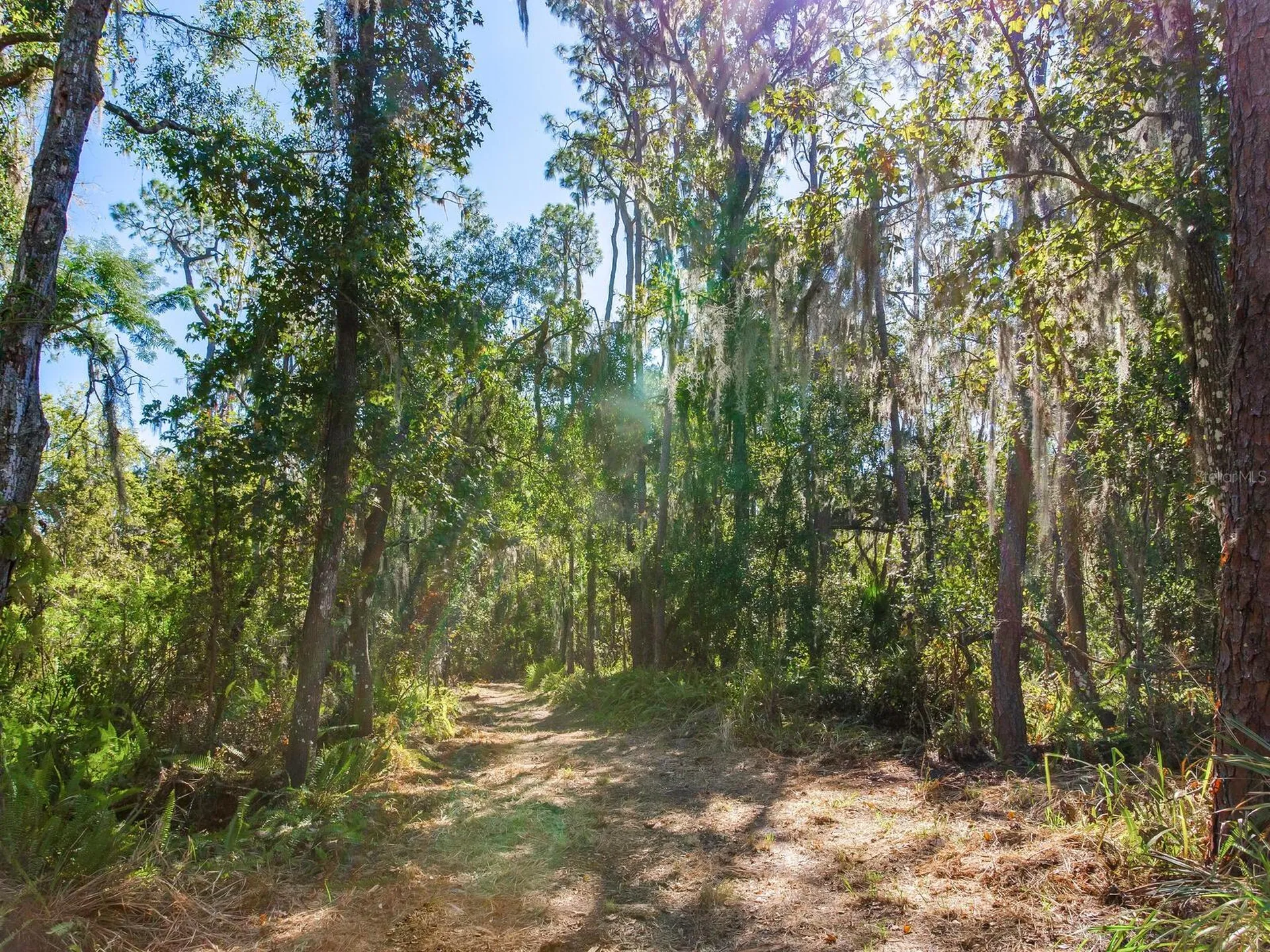 Drawdy Road Plant City FL 33567