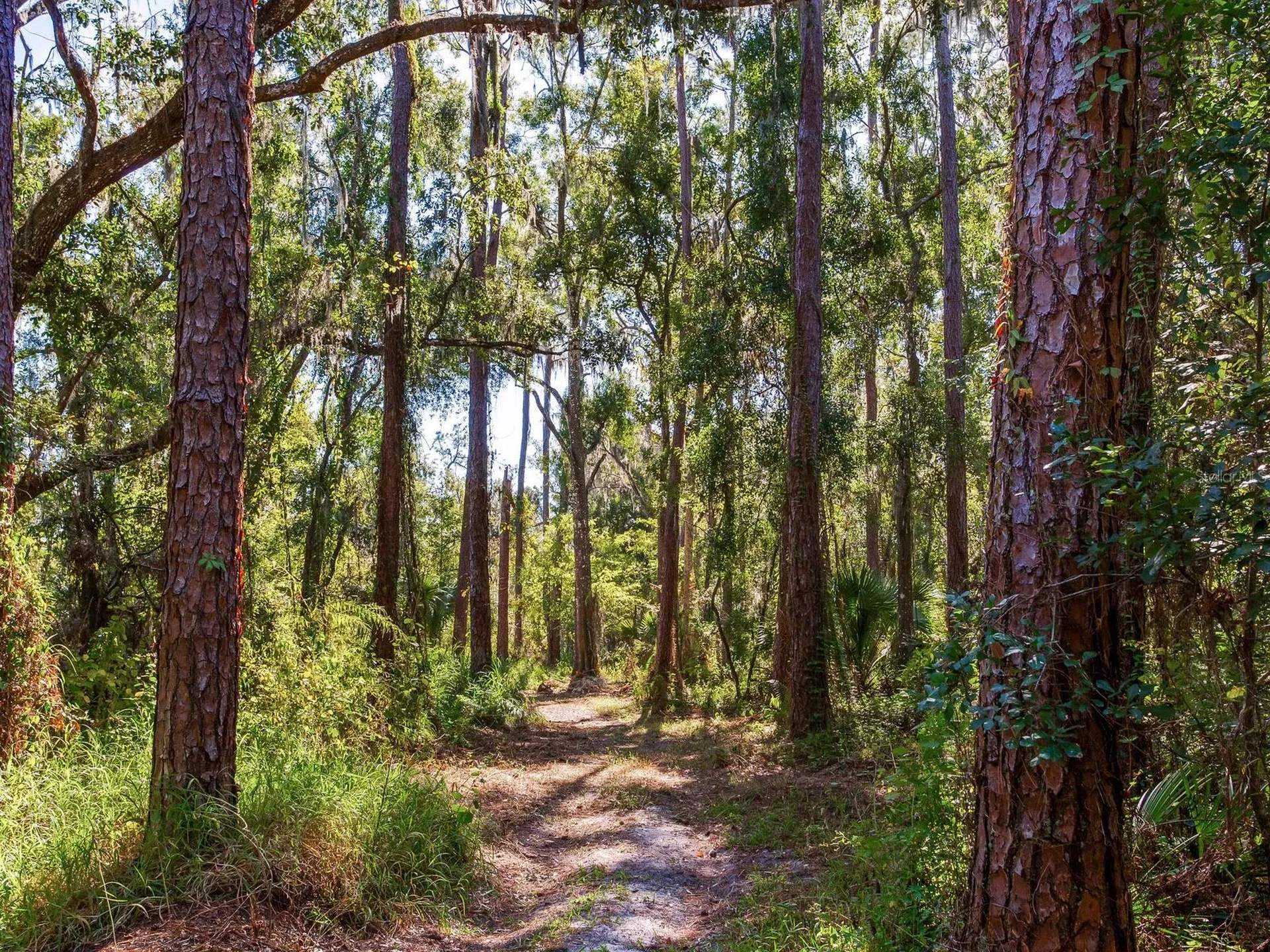 Drawdy Road Plant City FL 33567