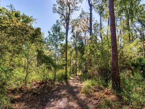 Drawdy Road Plant City FL 33567