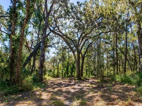 Drawdy Road Plant City FL 33567