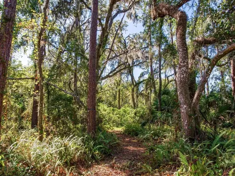 Drawdy Road Plant City FL 33567
