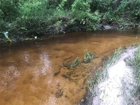 Drawdy Road Plant City FL 33567