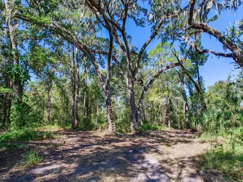 Drawdy Road Plant City FL 33567