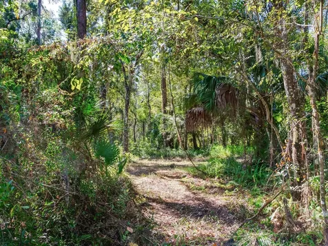 Drawdy Road Plant City FL 33567