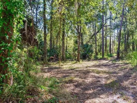 Drawdy Road Plant City FL 33567