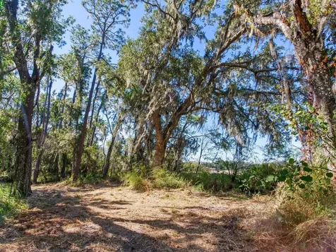 Drawdy Road Plant City FL 33567
