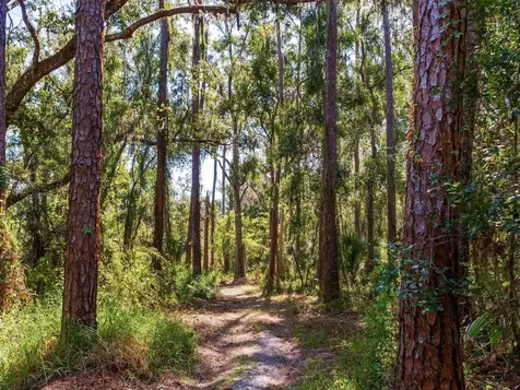 Drawdy Road Plant City FL 33567