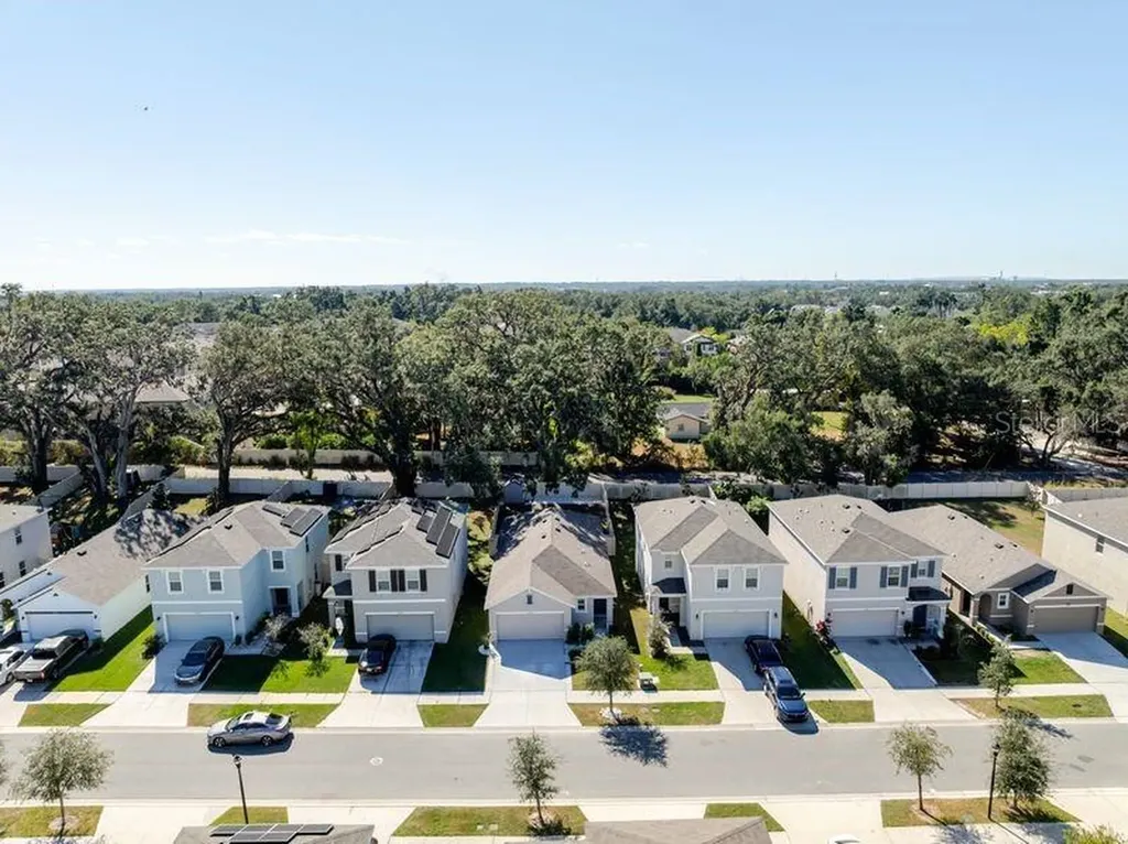 10945 Trailing Vine Drive Tampa FL 33610
