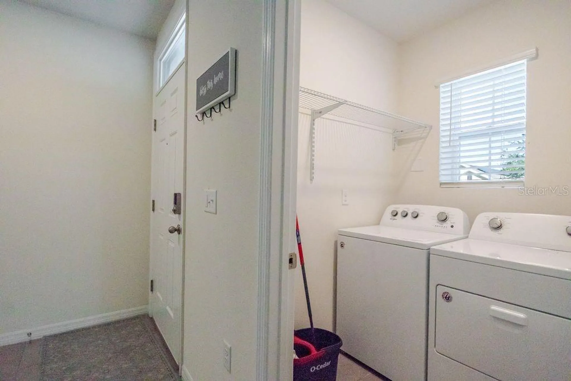10945 Trailing Vine Drive Tampa FL 33610