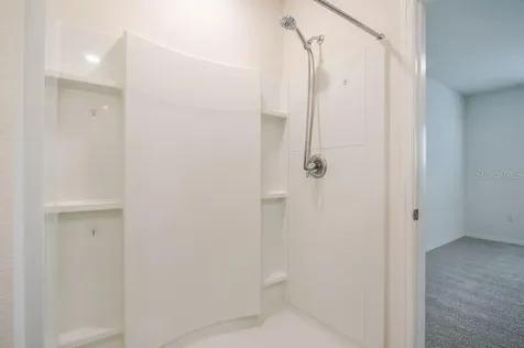 10945 Trailing Vine Drive Tampa FL 33610