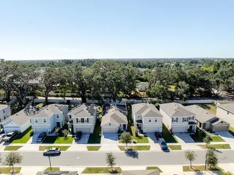10945 Trailing Vine Drive Tampa FL 33610