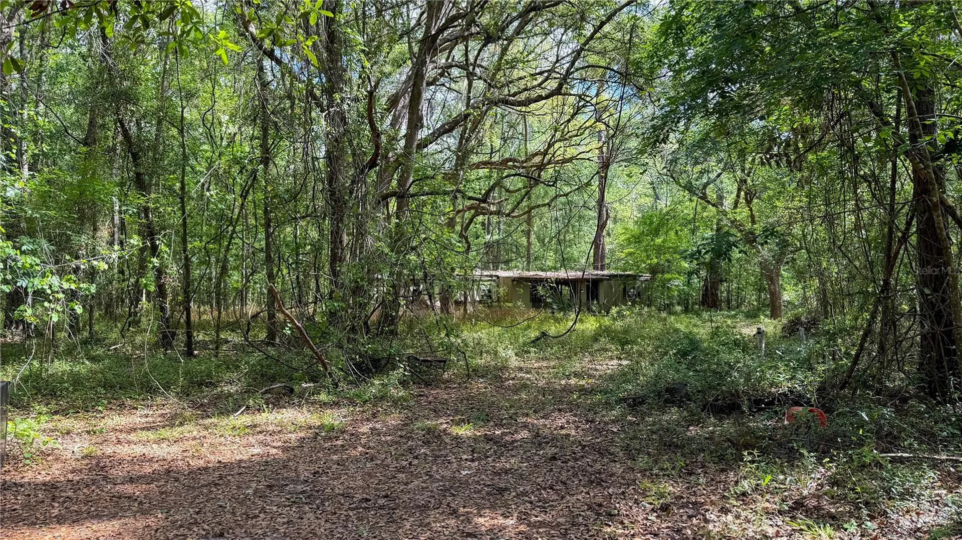 7906 SW County Road 346 Archer FL 32618