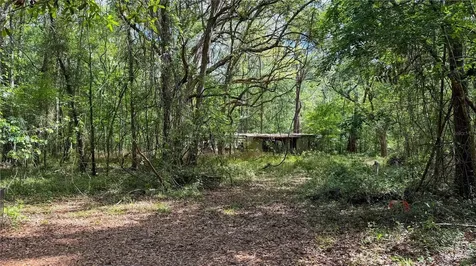7906 SW County Road 346 Archer FL 32618