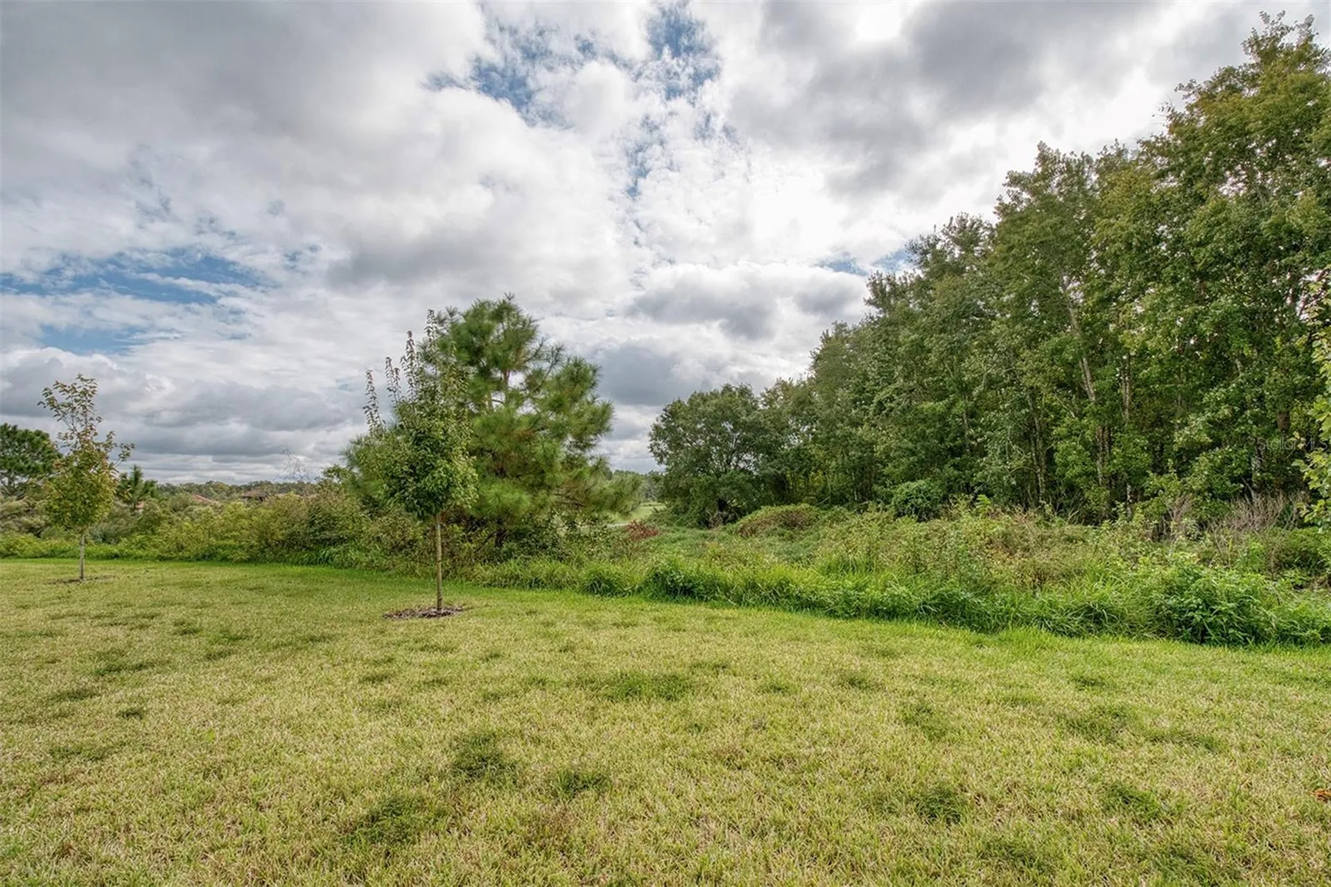 1815 Brentwood Court Davenport FL 33837
