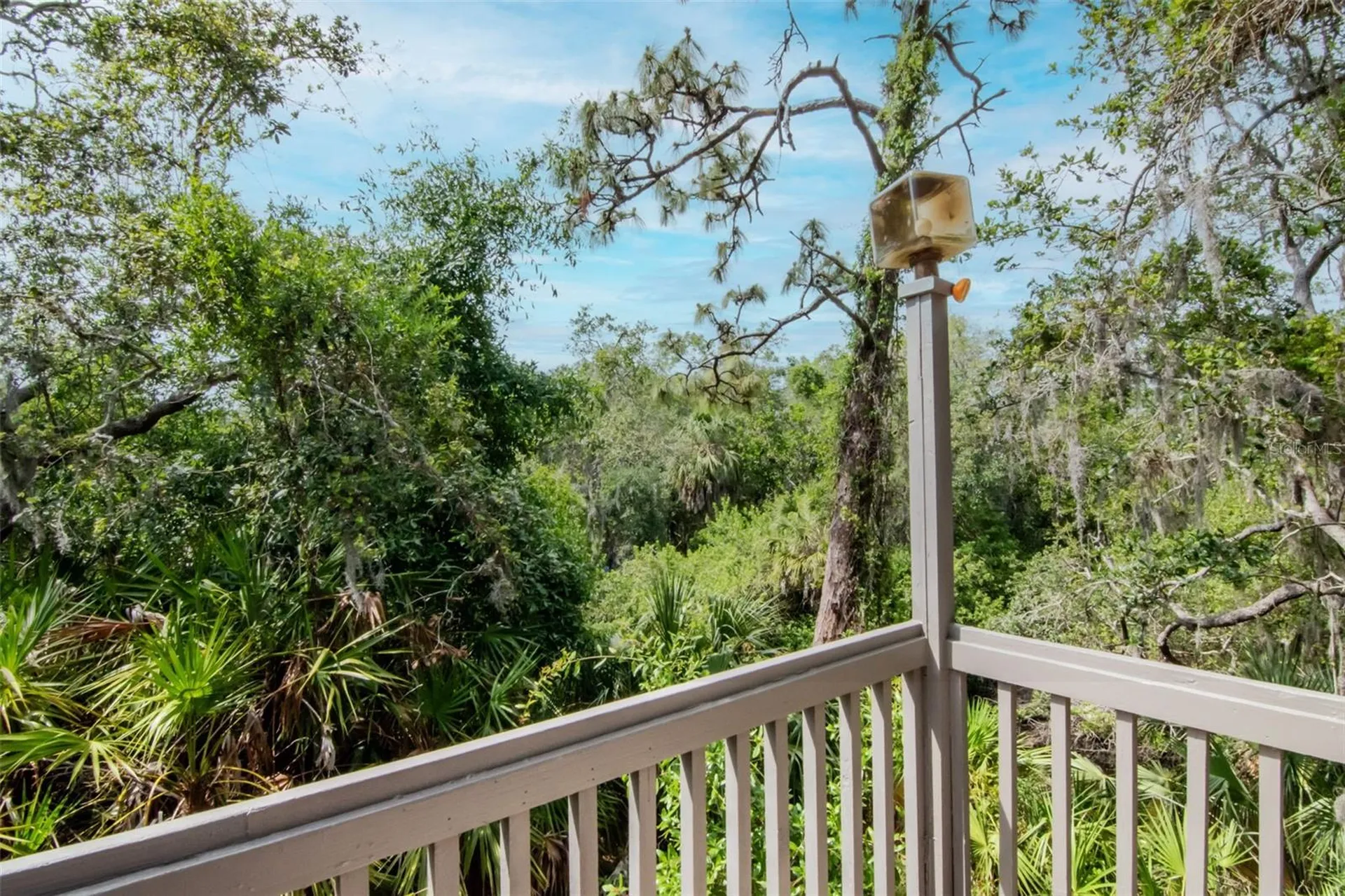 1296 Weybridge Lane Dunedin FL 34698