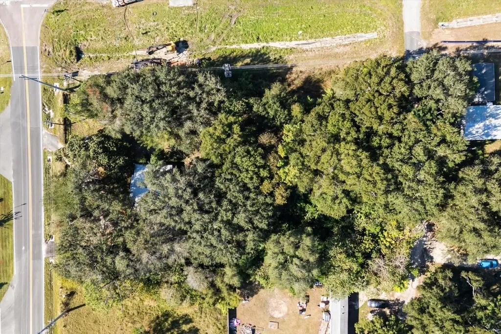 2009 Robie Avenue Mount Dora FL 32757