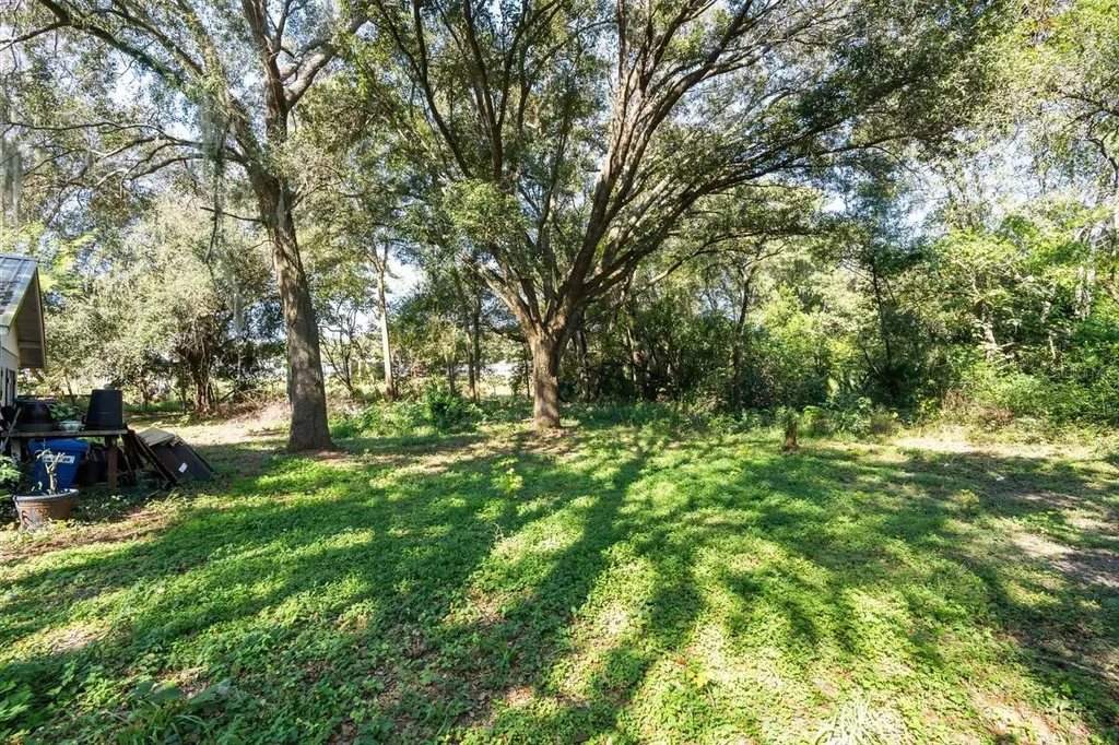 2009 Robie Avenue Mount Dora FL 32757