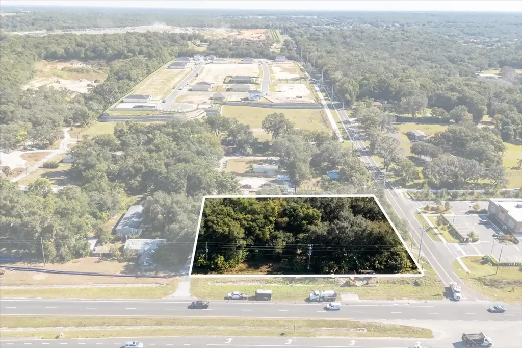 2009 Robie Avenue Mount Dora FL 32757