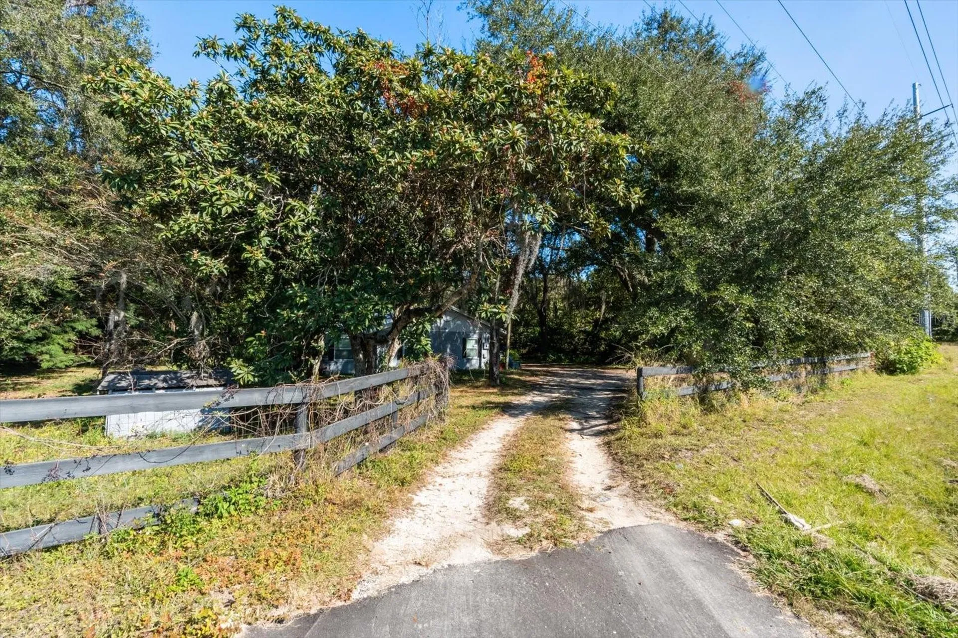 2009 Robie Avenue Mount Dora FL 32757