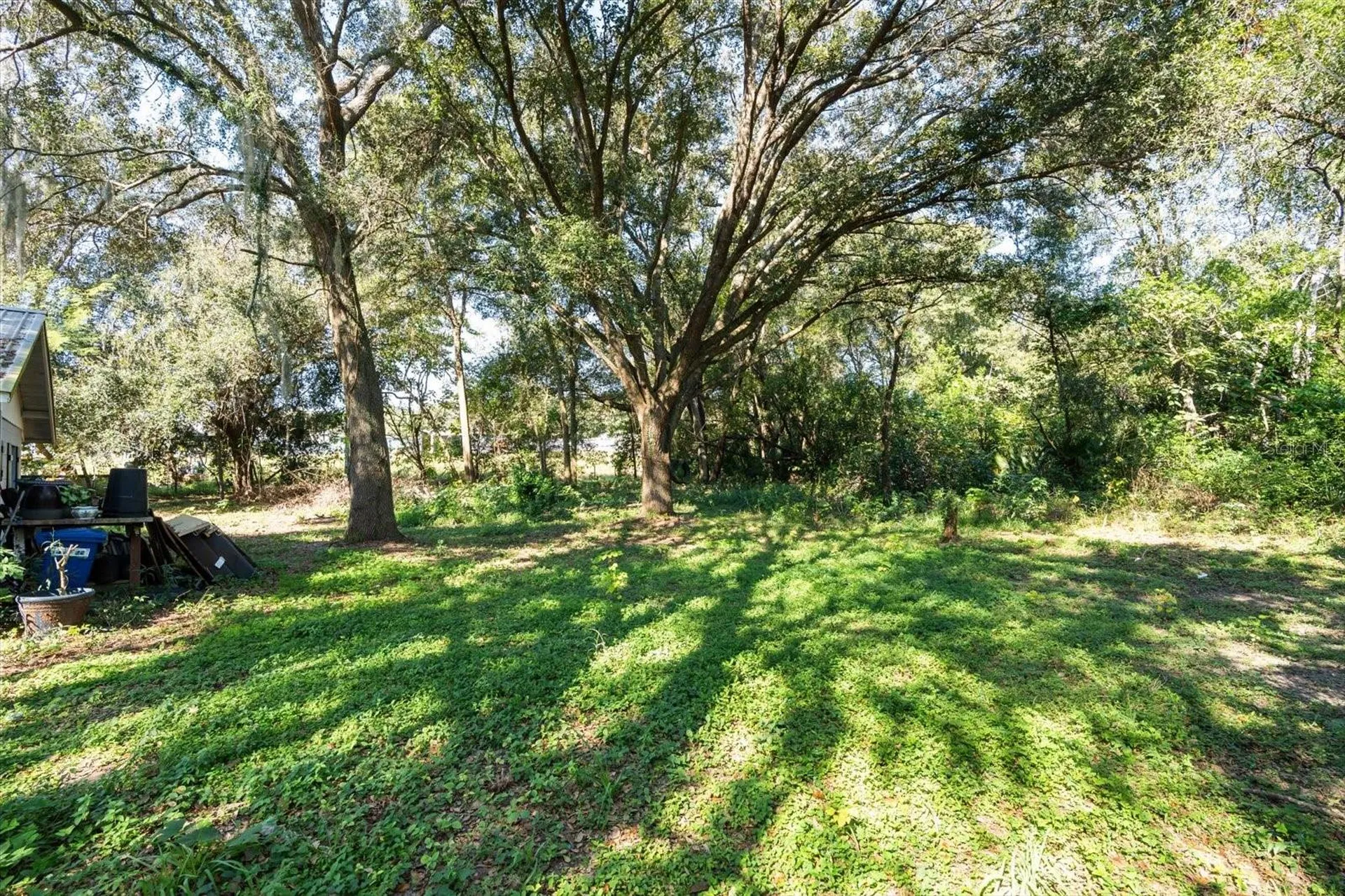 2009 Robie Avenue Mount Dora FL 32757