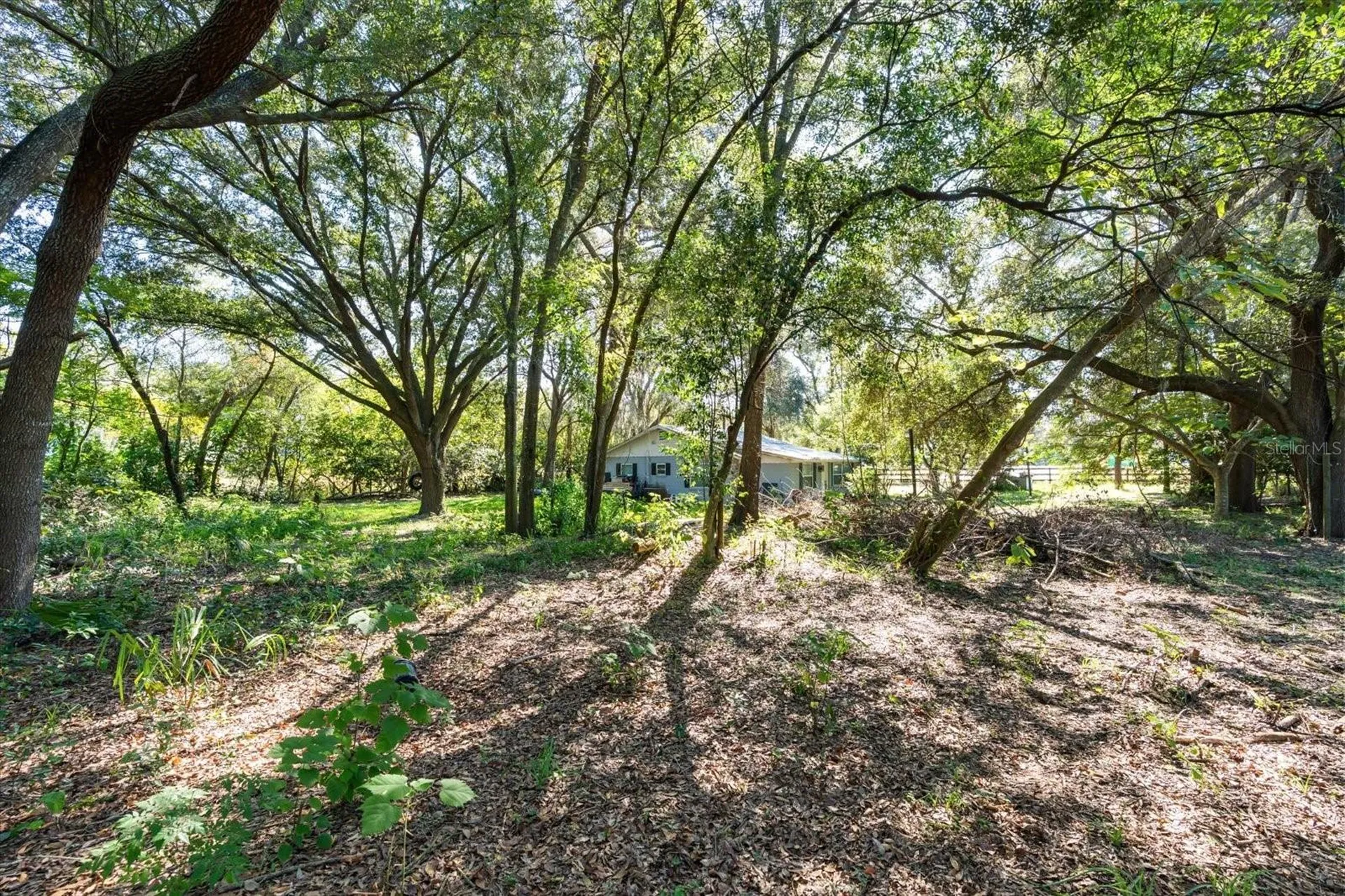 2009 Robie Avenue Mount Dora FL 32757