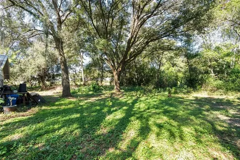2009 Robie Avenue Mount Dora FL 32757