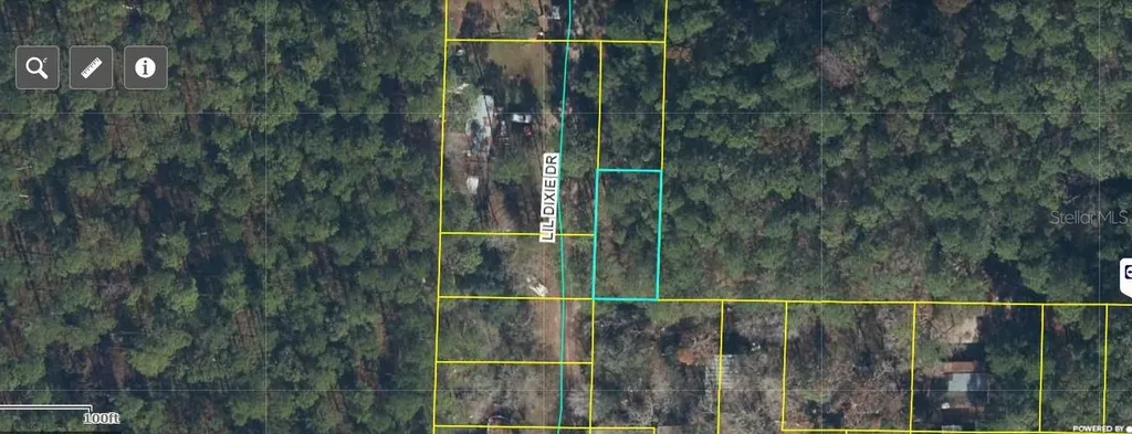 17847 Lil Dixie Drive Sanderson FL 32087
