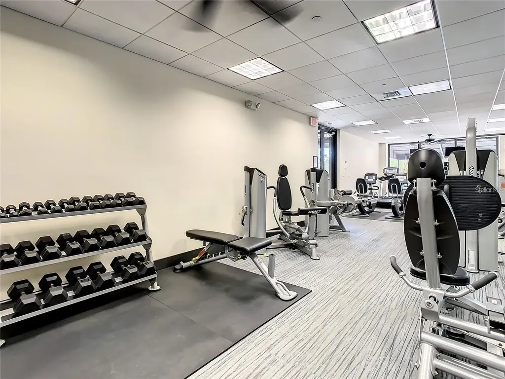 3301 Bayshore Boulevard Tampa FL 33629