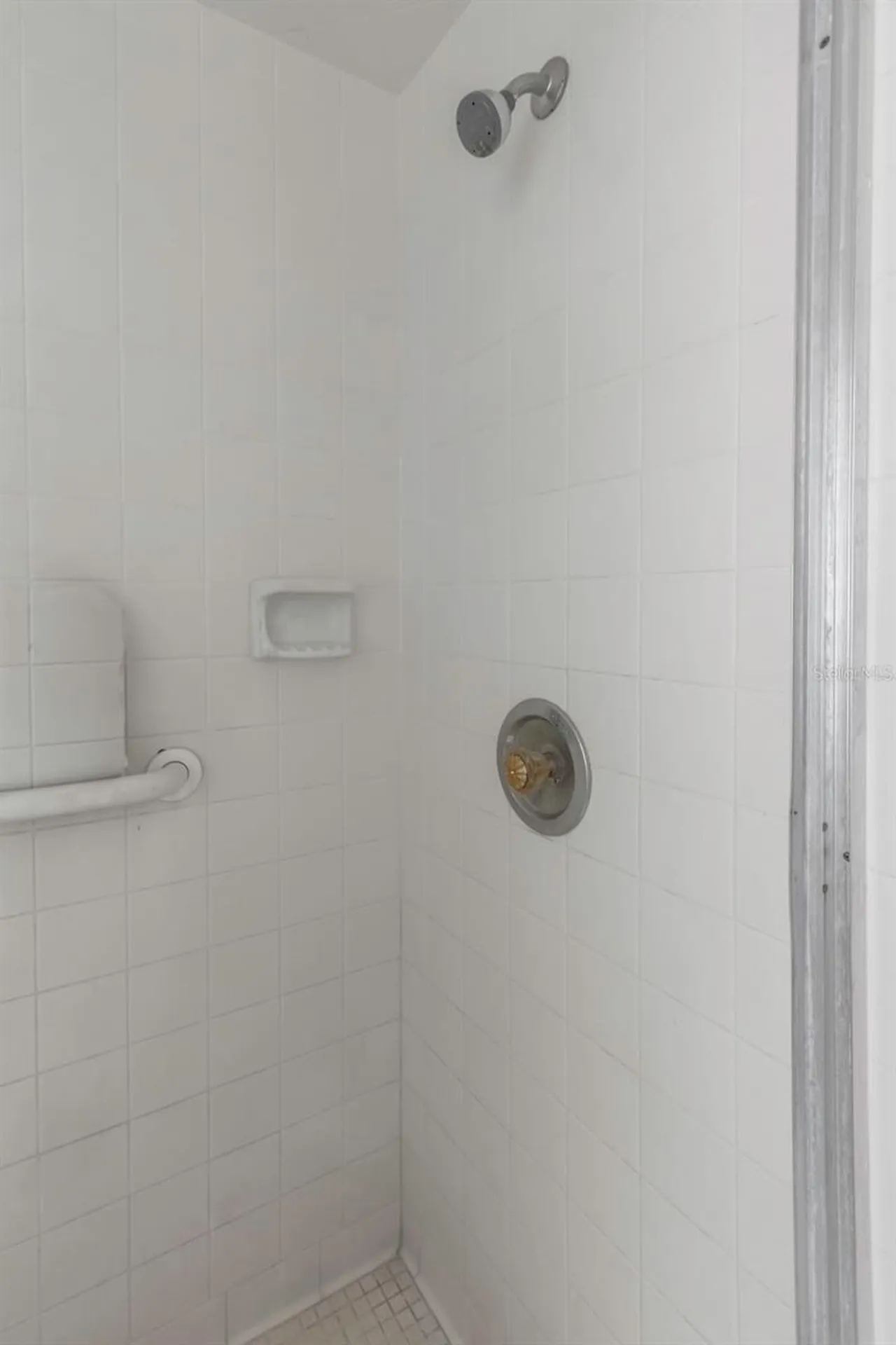 17515 Lakeshore Road Lutz FL 33558
