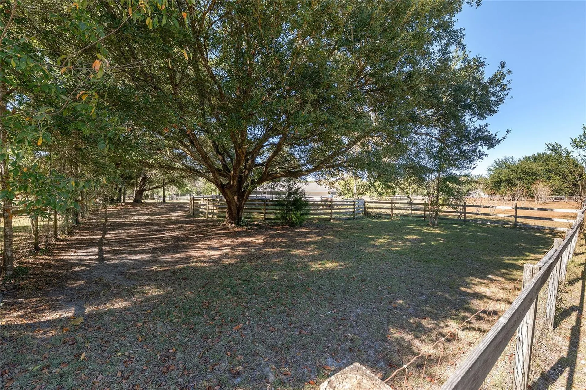 9128 NW 238th Street Alachua FL 32615