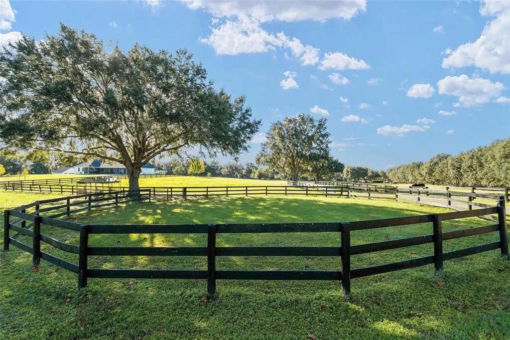 901 SW 87th Place Ocala FL 34476