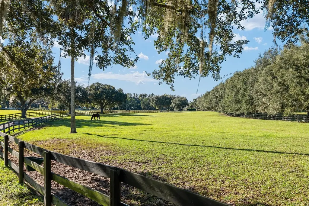 901 SW 87th Place Ocala FL 34476