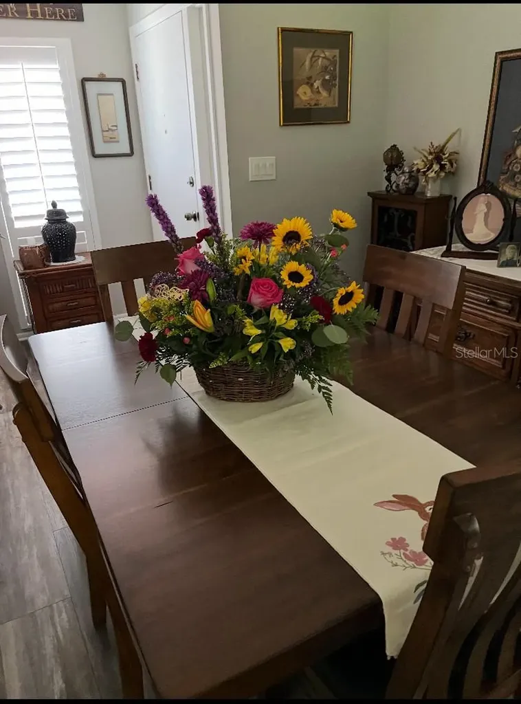 1609 Whitebridge Drive Palm Harbor FL 34684