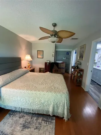 1609 Whitebridge Drive Palm Harbor FL 34684