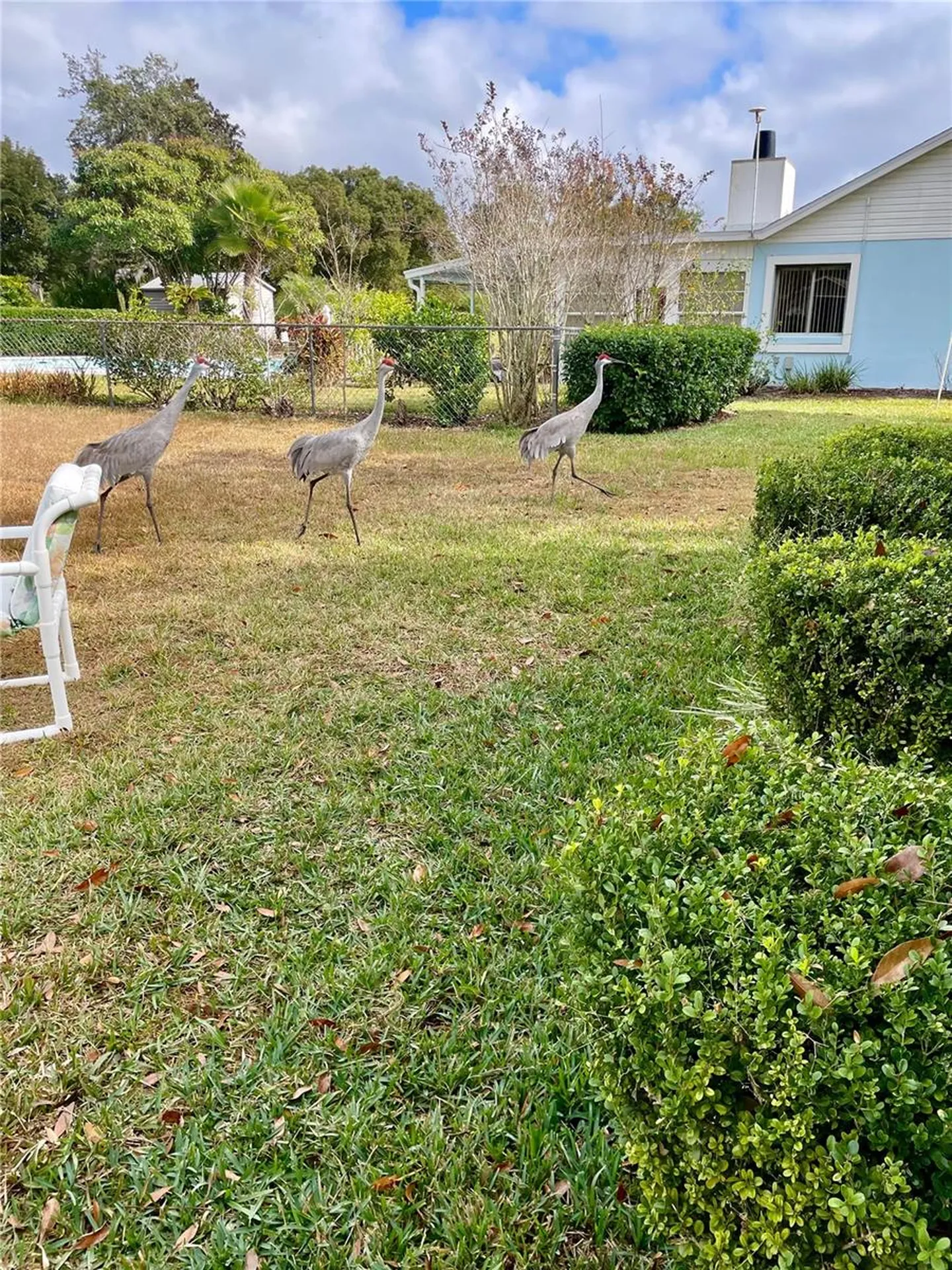 3401 Divot Road Sebring FL 33872