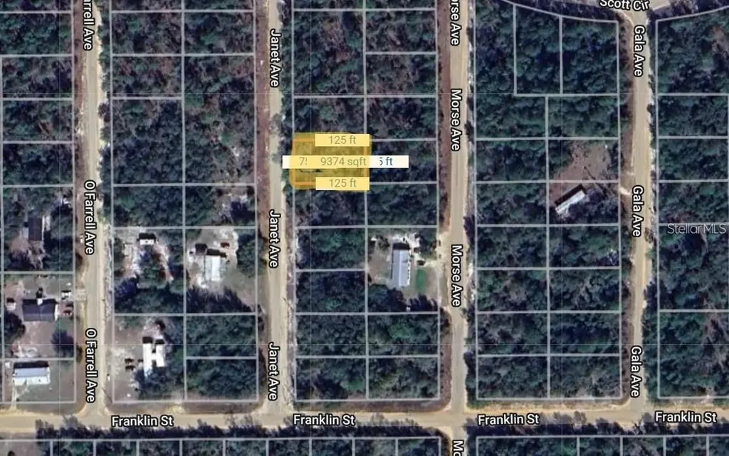 0 Janet Avenue Interlachen FL 32148