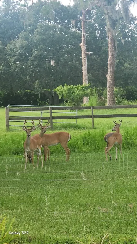 4708 Hidden River Road Sarasota FL 34240