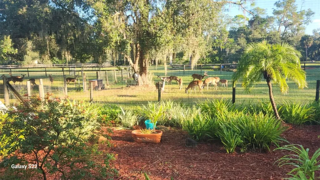 4708 Hidden River Road Sarasota FL 34240