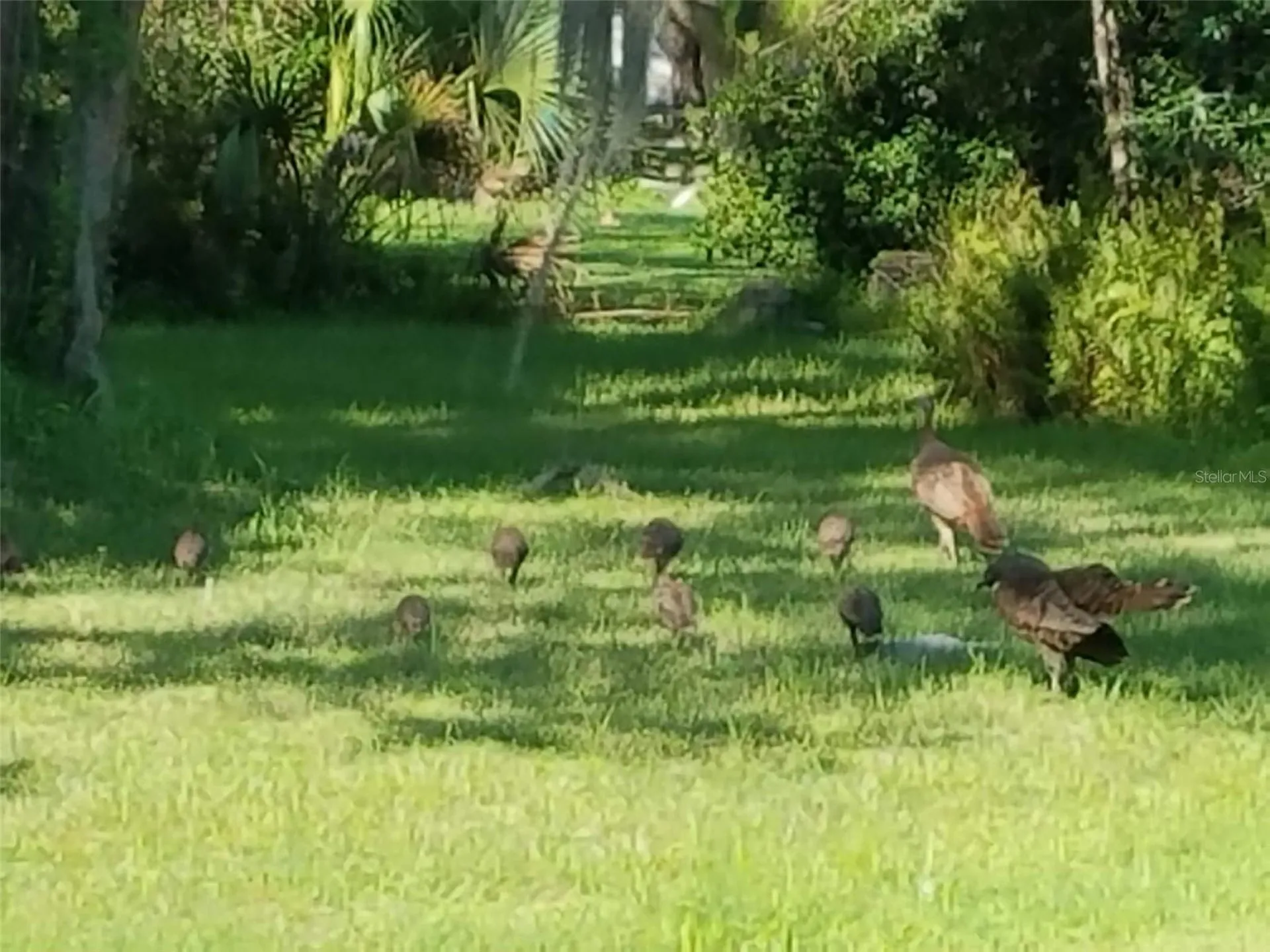 4708 Hidden River Road Sarasota FL 34240