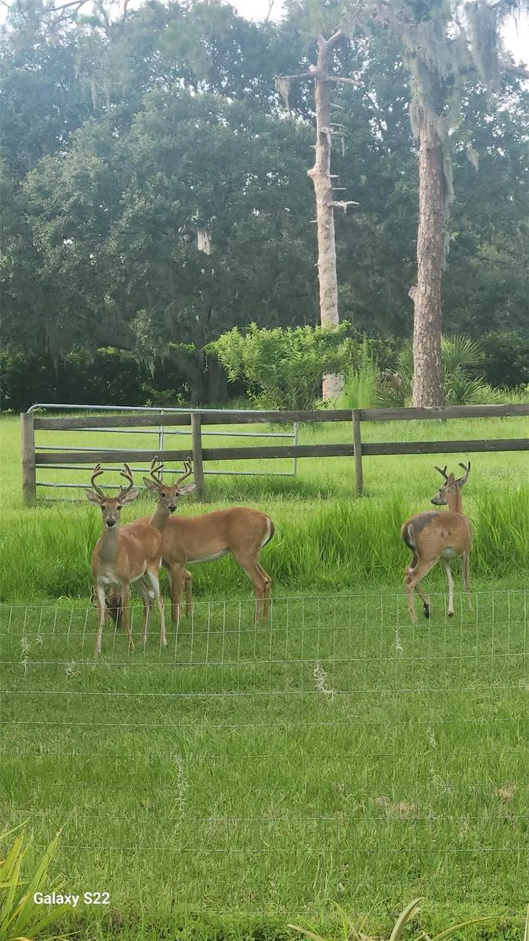 4708 Hidden River Road Sarasota FL 34240
