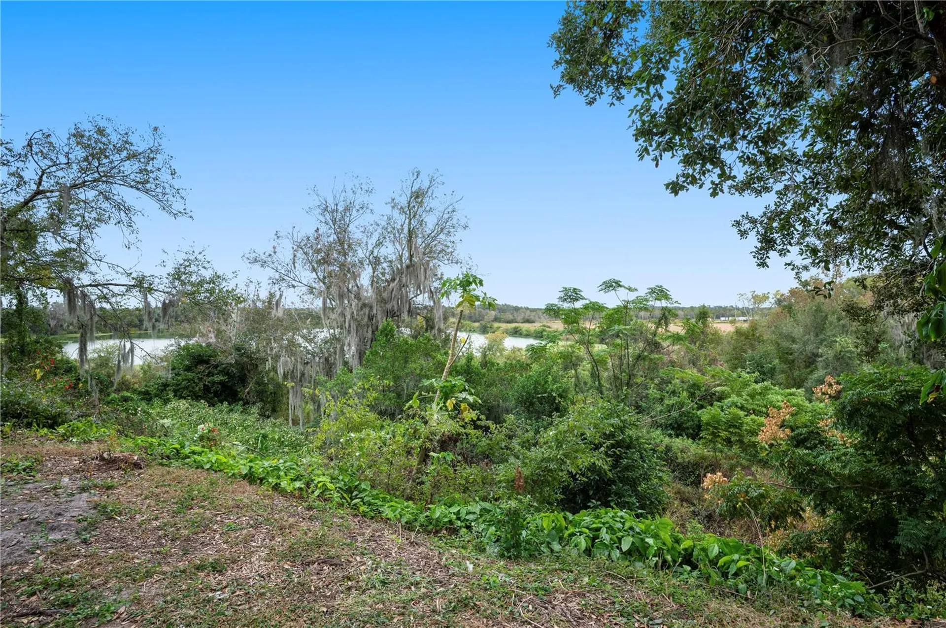 4885 Cherry Drive Mulberry FL 33860