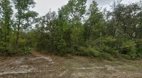 Highline Trail Satsuma FL 32189