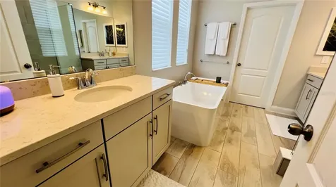 13706 Werrington Drive Winter Garden FL 34787
