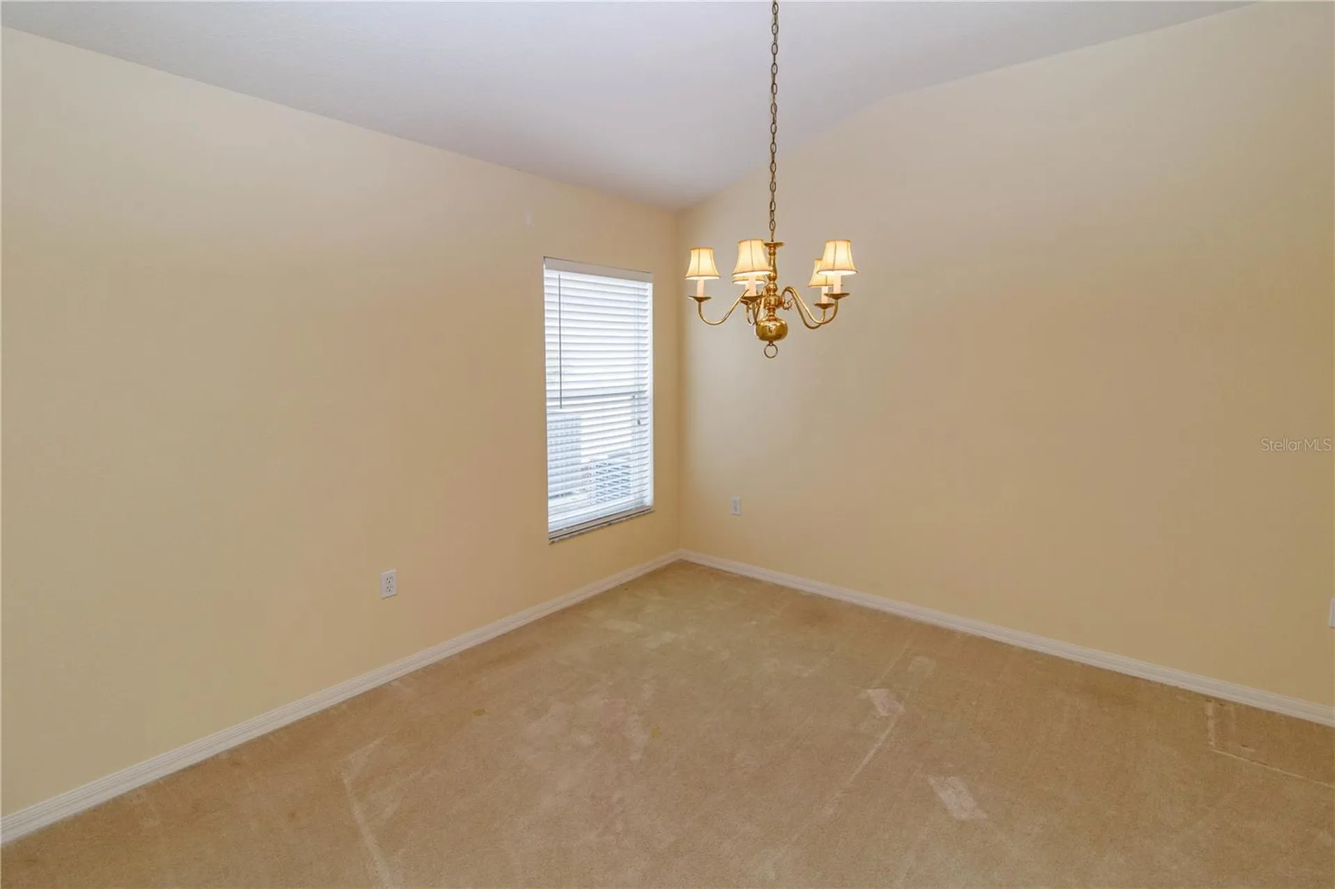 1747 Ravenridge Street Wesley Chapel FL 33543